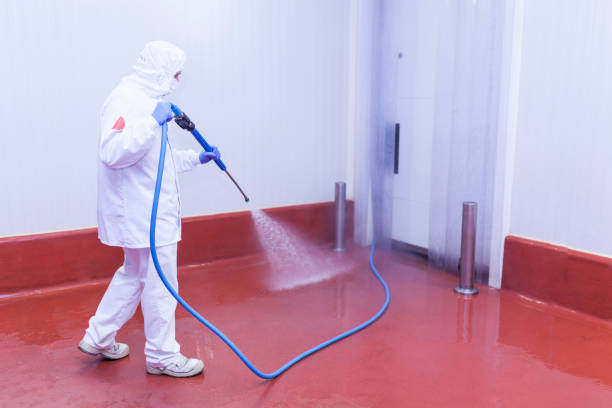 Best Dumpster Area Cleaning  in Fort Recovery, OH